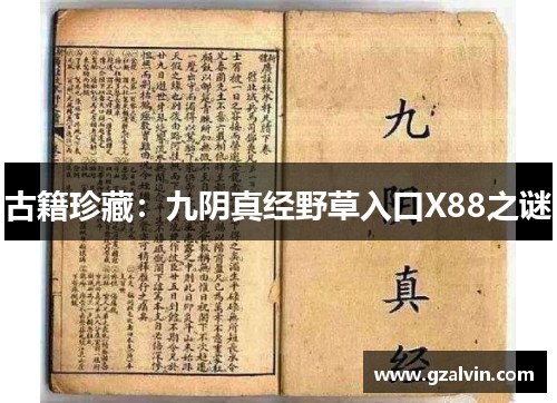 古籍珍藏：九阴真经野草入口X88之谜